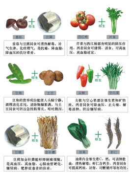 与裙带菜的相克食物