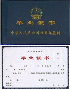 大专专业有哪些专业?