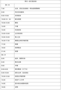 如何描述项目内容?