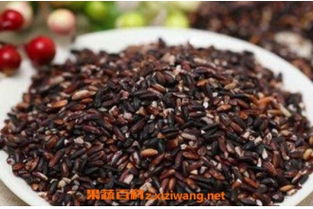 血糯米和黑米的区别是什么