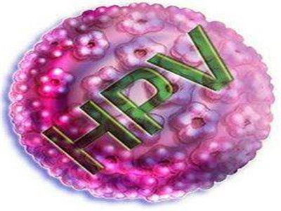 HPV是什么意思