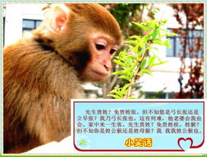候与侯的区别是什么