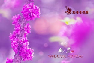 良言一句三冬暖全诗
