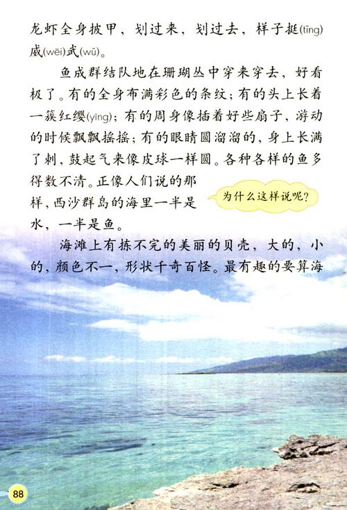 富饶的西沙群岛是几年级课文