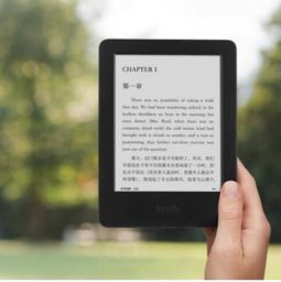 kindle支持什么格式