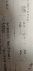 优美的近义词，优美的近义词和反义词