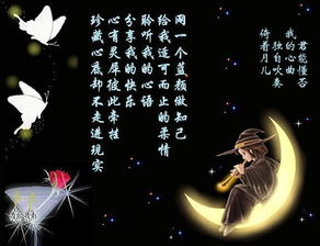 有一首歌,歌词里有句“不能不想你,在这陌生的夜里”有谁知道这首歌的