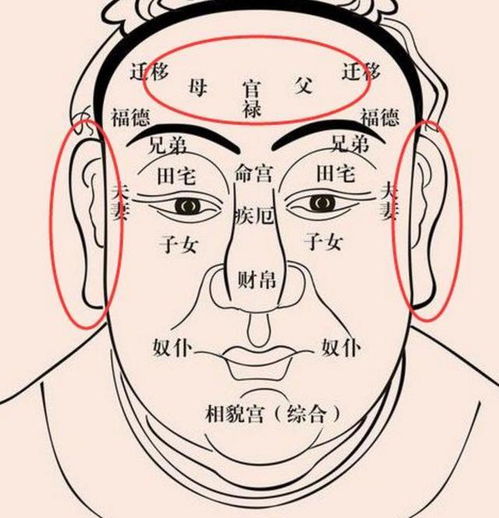大师,给看下这个女生的,面相吧