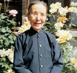 冰心老人的生平背景?