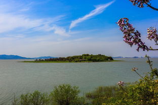 遥望洞庭山水翠的后一句是什么?