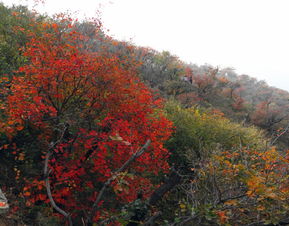 北京香山公园坐地铁怎么去?