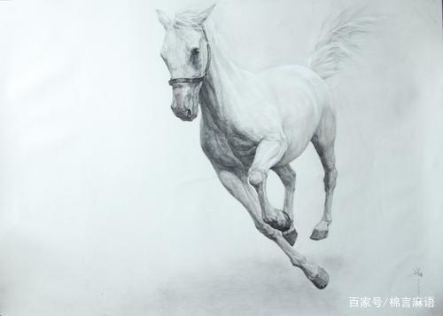 02年的人今年虚岁多大了