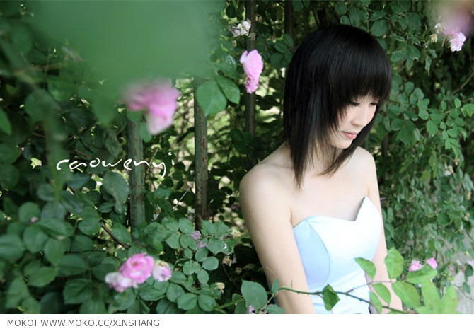 香草吧噗是什么东西