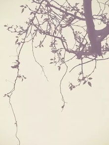 “缺月挂疏桐,漏断人初静,时见幽人独往来,飘渺孤鸿影。”出自哪里?_百