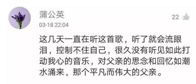 时光飞逝什么意思