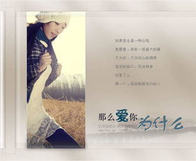 那么爱你为什么 歌词