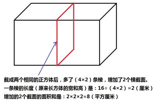 正方体的表面积计算公式，正方体的表面积计算公式字母