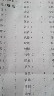 虚无的反义词是真实吗