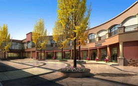 沈阳尚柏奥莱可以带狗吗