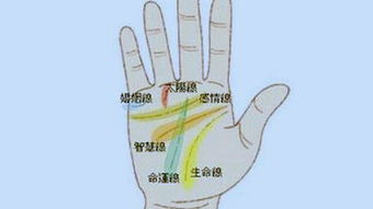 为什么不能随便看手相?