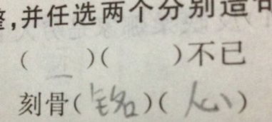 "什么不已"的成语?