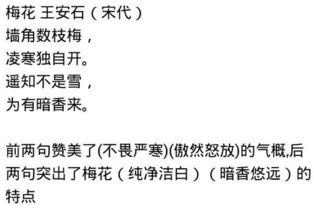 气概的近义词是什么