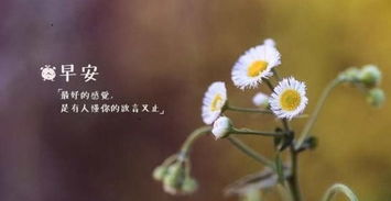 早安英文怎么说?