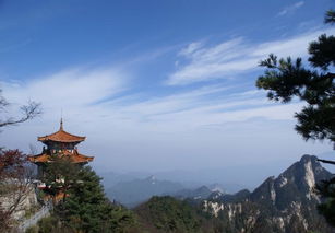 河南洛阳有座白云山,一到深秋就变成彩色世界,美得让人向往