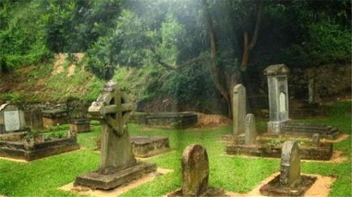 上坟摆几样供品每样摆几个