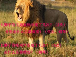 央视的<<动物世界>>片头曲叫什么名字?