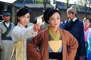 带刀女捕快的剧情简介