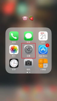 苹果手机更新软件在哪里