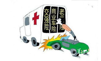 汽车商业险包括哪些