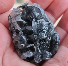 什么是翡翠乌鸡种?