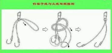 大物子线与八字环的绑法