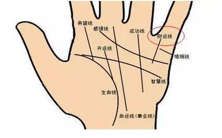 看手相准吗?