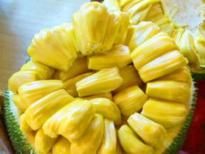 菠萝蜜籽怎么种植步骤