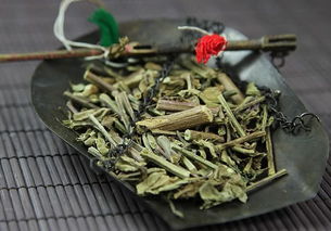 喝猫须草有什么禁忌,猫须草可以经常喝吗