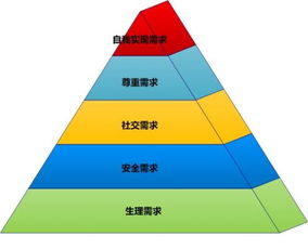层次是什么?
