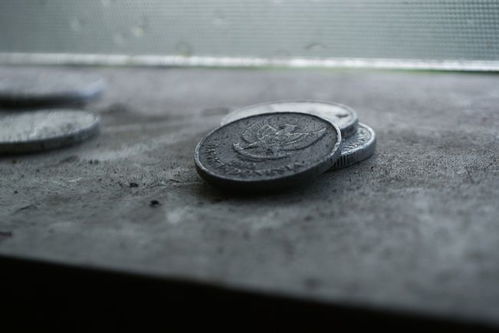 collect的名词是什么?