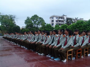 饭圈的整肃是什么意思 饭圈的整肃是啥意思