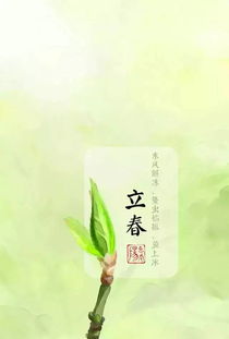 明天几点立春?