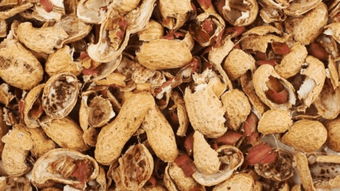 花生壳能吃吗 能不能食用花生壳