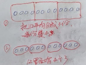 12÷3=4的三种意义(小学二年级能理解。)