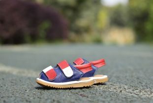 6y是多少码