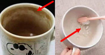 怎样洗掉杯子上的茶垢?