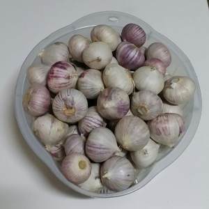 黑蒜是怎样制作出来的?
