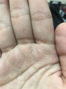 手上下是什么字什么意思