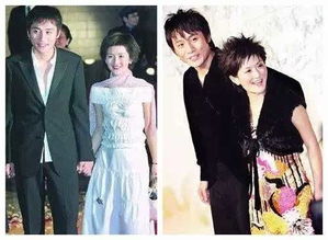 谢娜和刘烨为什么分手