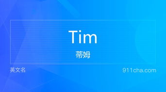 Tim的英文是什么意思 一个人名